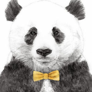 Meet your Posher, Matt